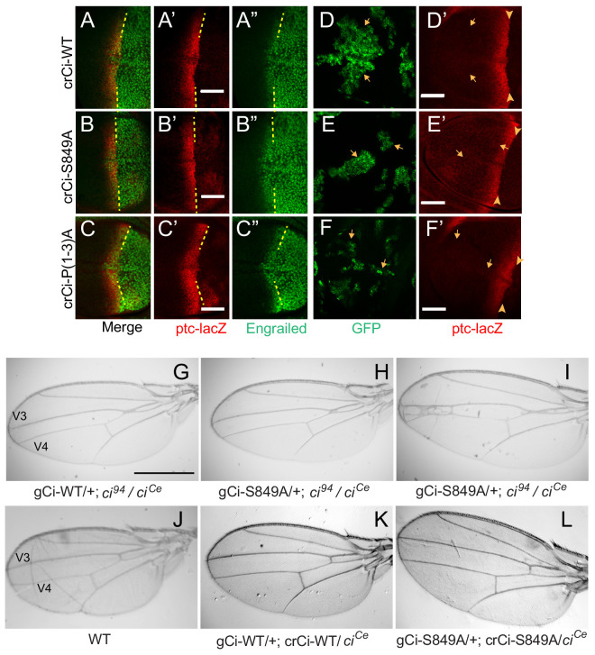 Figure 3.