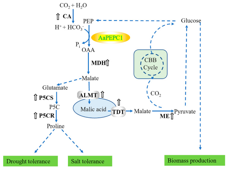 Figure 9