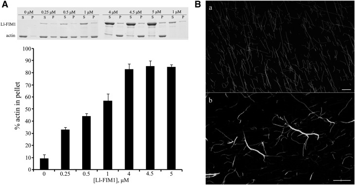 Figure 9.