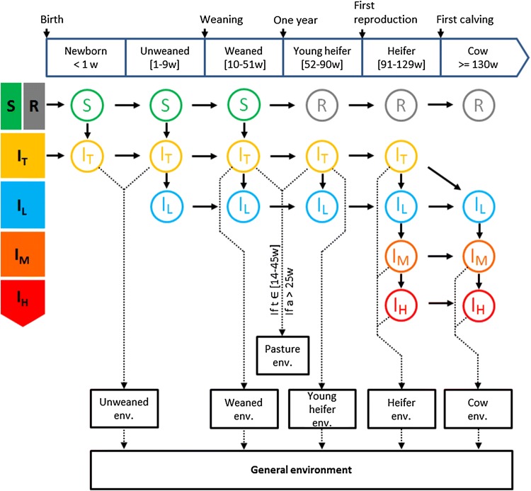 Figure 1