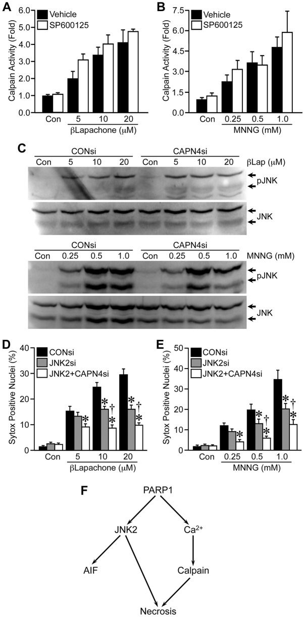 Fig. 9.