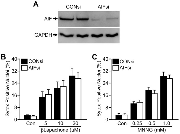 Fig. 8.