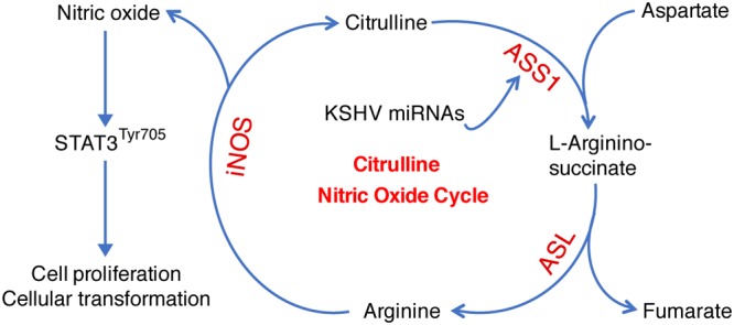 FIG 9