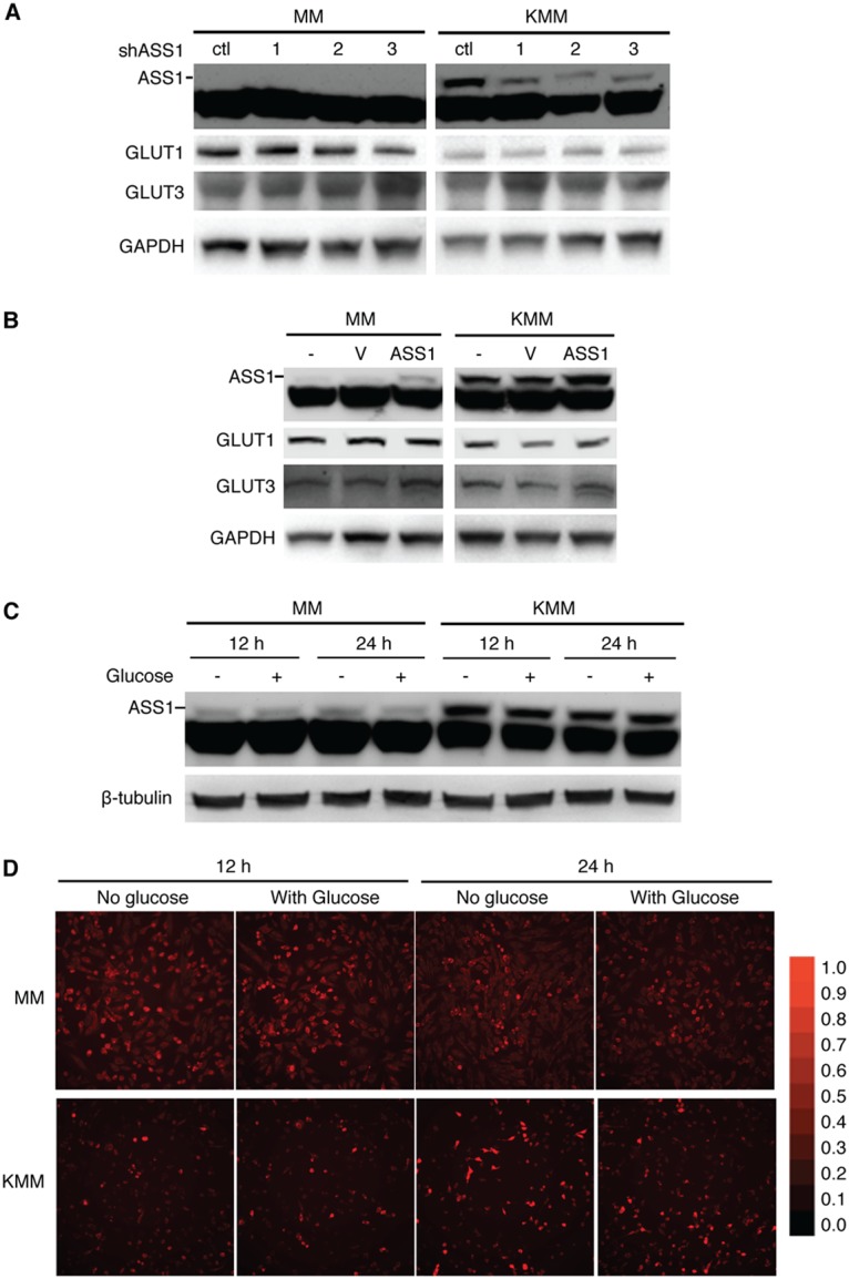 FIG 8