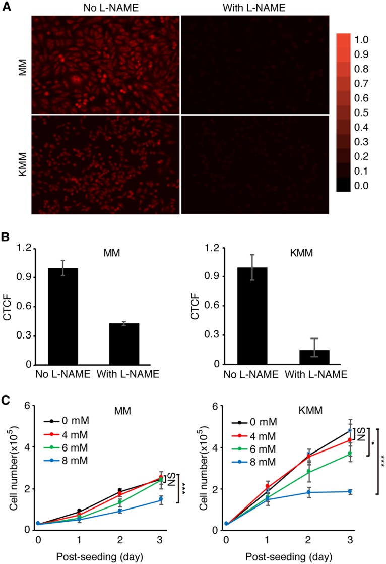 FIG 6