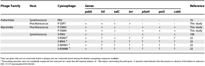 graphic file with name pbio.0030144.t006.jpg