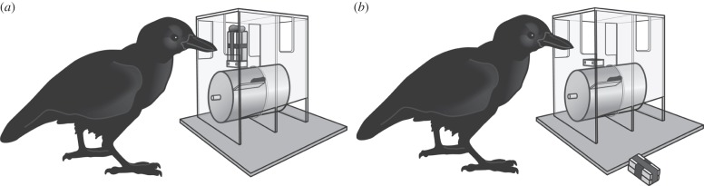 Figure 1.