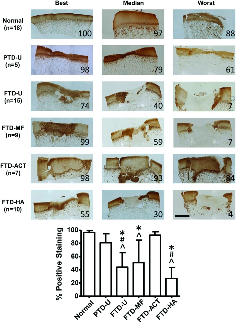 FIG. 7.