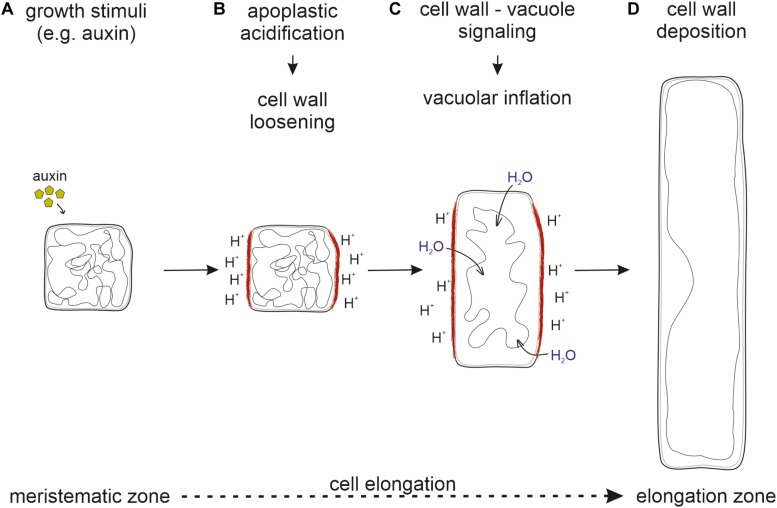 FIGURE 2