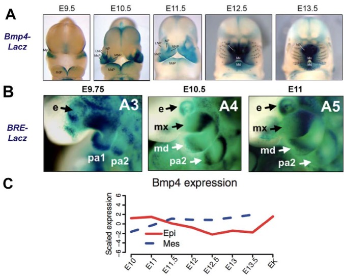 Figure 1.