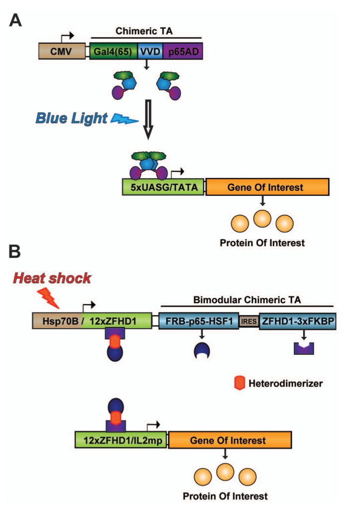 Figure 4.