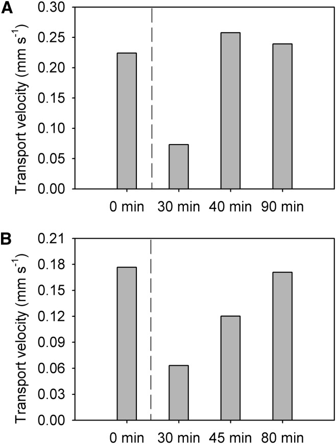 Figure 6.