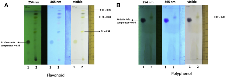 Fig. 7