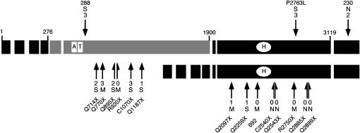 Figure 3.—