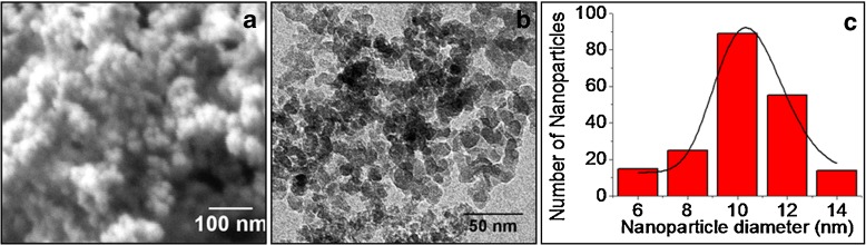 Fig. 1