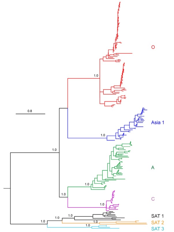 Fig. 3.