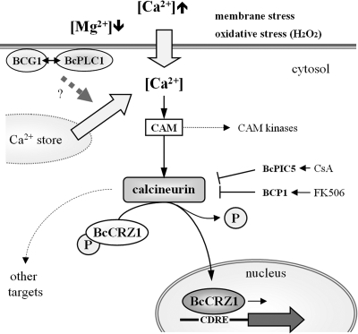 FIG. 10.