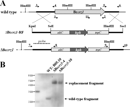 FIG. 3.