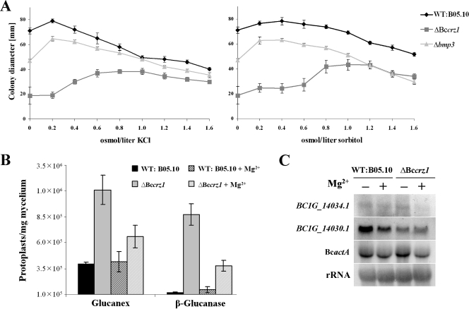 FIG. 6.