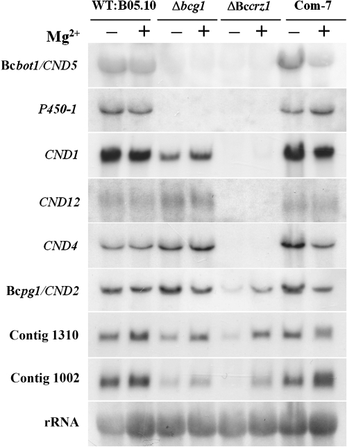 FIG. 9.