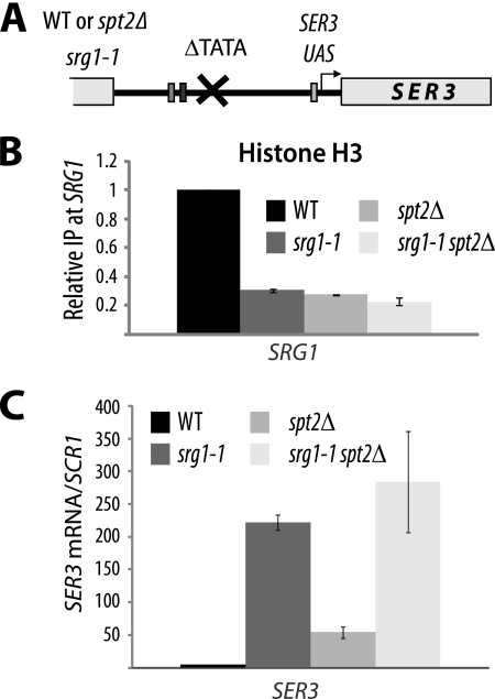 FIG. 8.