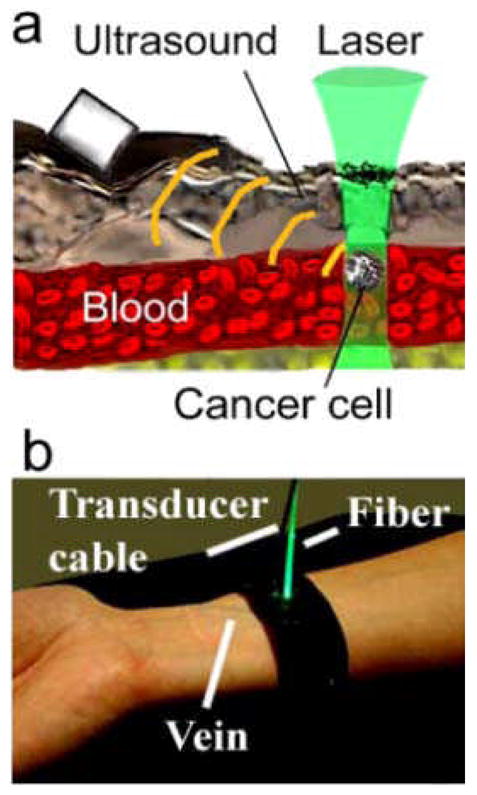 Fig.4