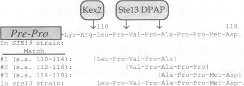 graphic file with name pnas01077-0140-a.jpg