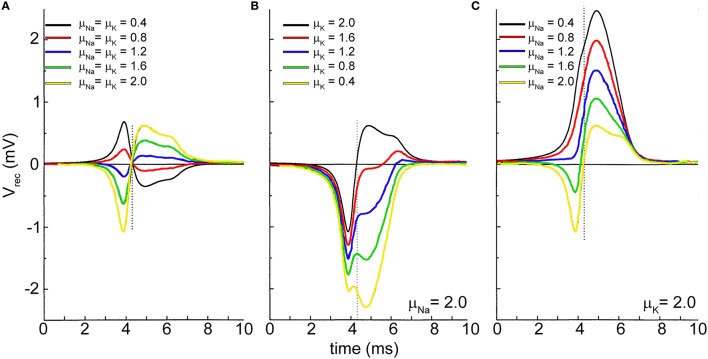 Figure 6