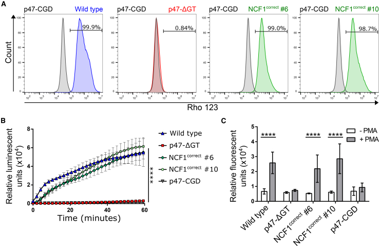 Figure 3