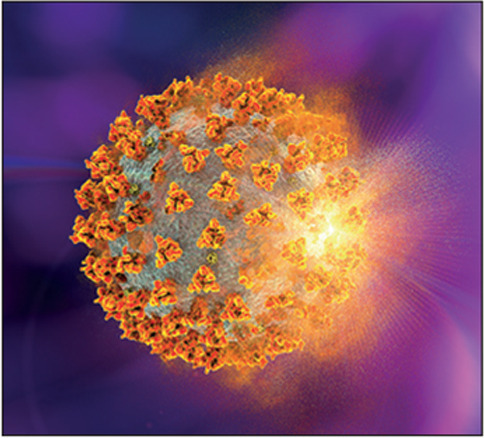 Covid-19 coronavirus, conceptual illustration. The new coronavirus SARS-CoV-2 (previously 2019-CoV) emerged in Wuhan, China, in December 2019. The virus causes a mild respiratory illness (Covid-19) that can develop into pneumonia and be fatal in some cases. The coronaviruses take their name from their crown (corona) of surface spike proteins (large protrusions), which are used to attach and penetrate their host cells.