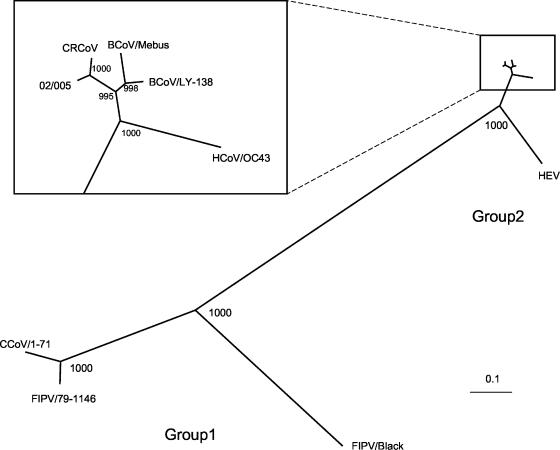 FIG. 2.