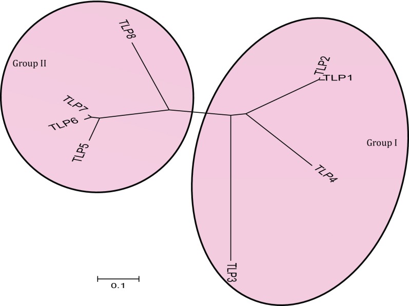 Fig. S1.