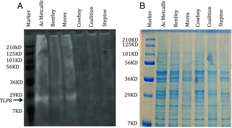 Fig. S4.