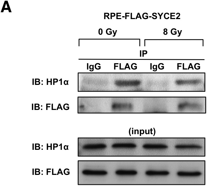 Figure S5.