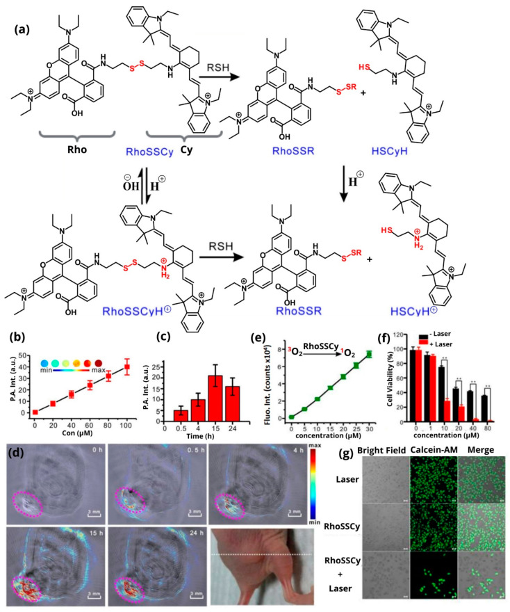 Figure 14