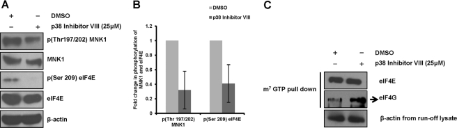 FIGURE 10.