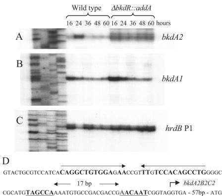 FIG. 6.