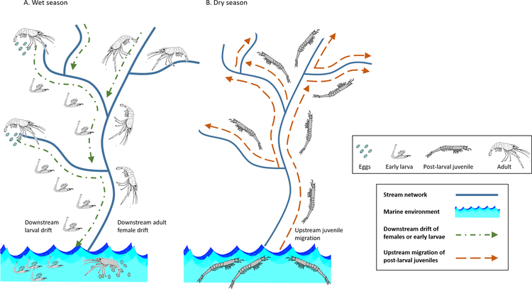 Figure 3.