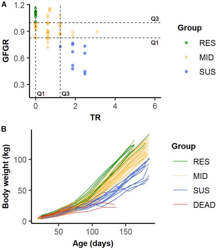 FIGURE 3