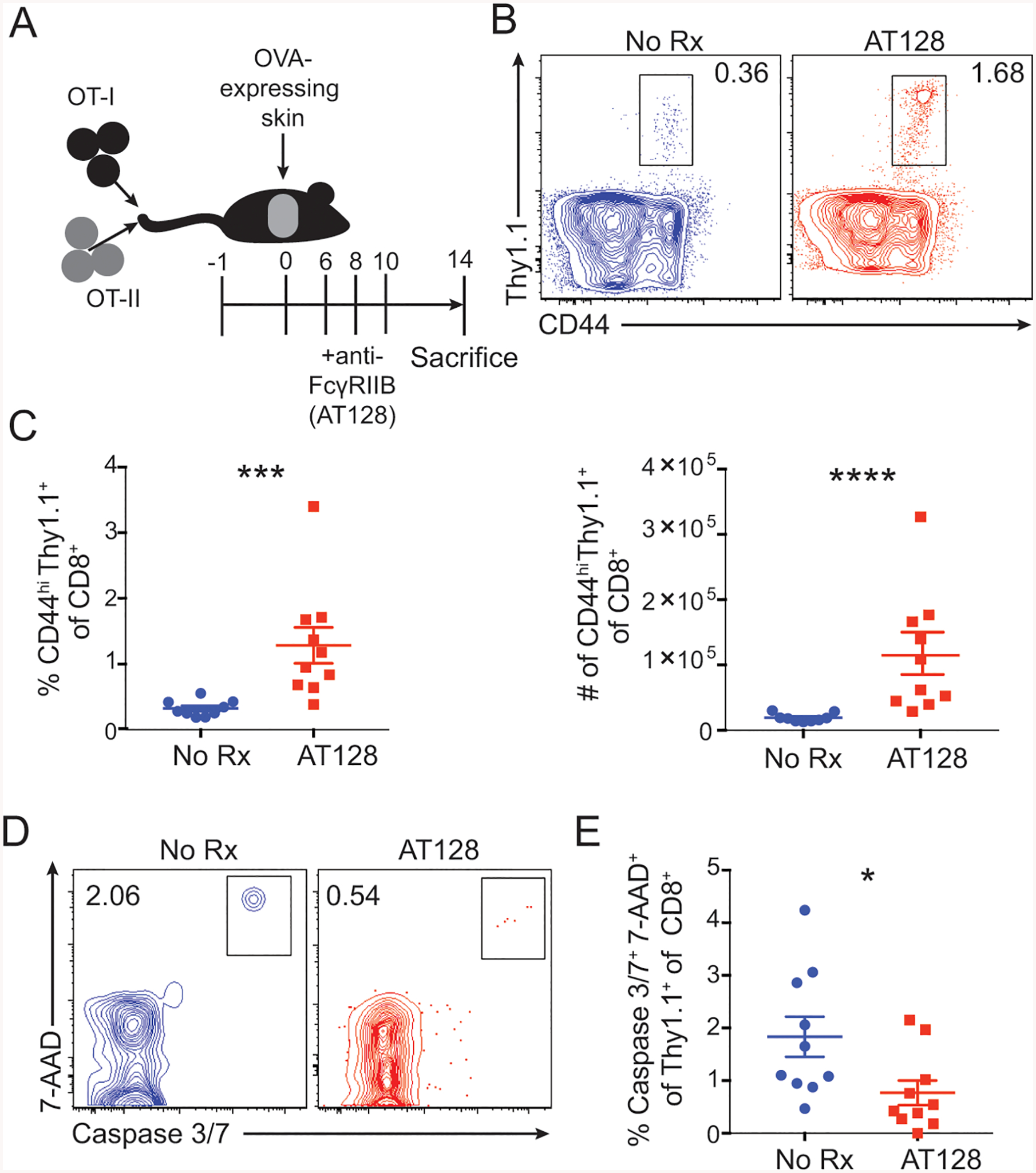 Figure 4: