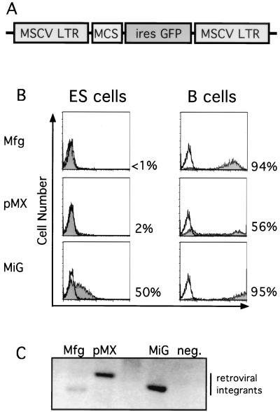 FIG. 1