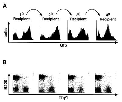 FIG. 6