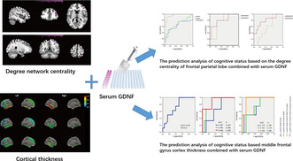 graphic file with name CNS-30-e14461-g001.jpg