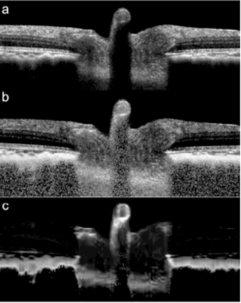 Figure 4.