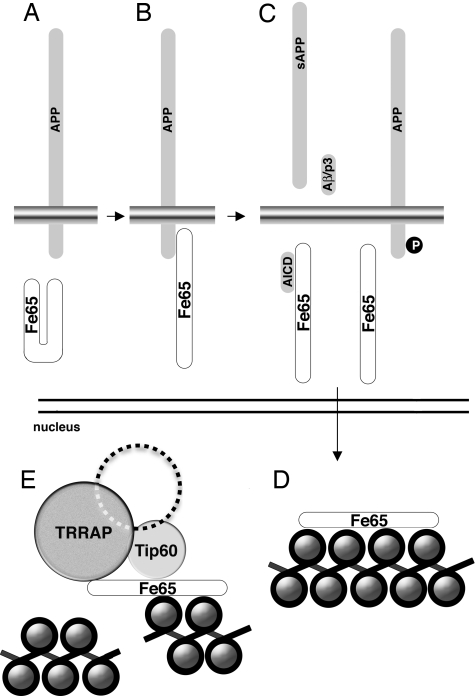 Fig. 5.