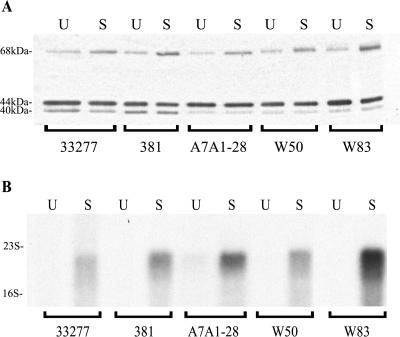 FIG. 6