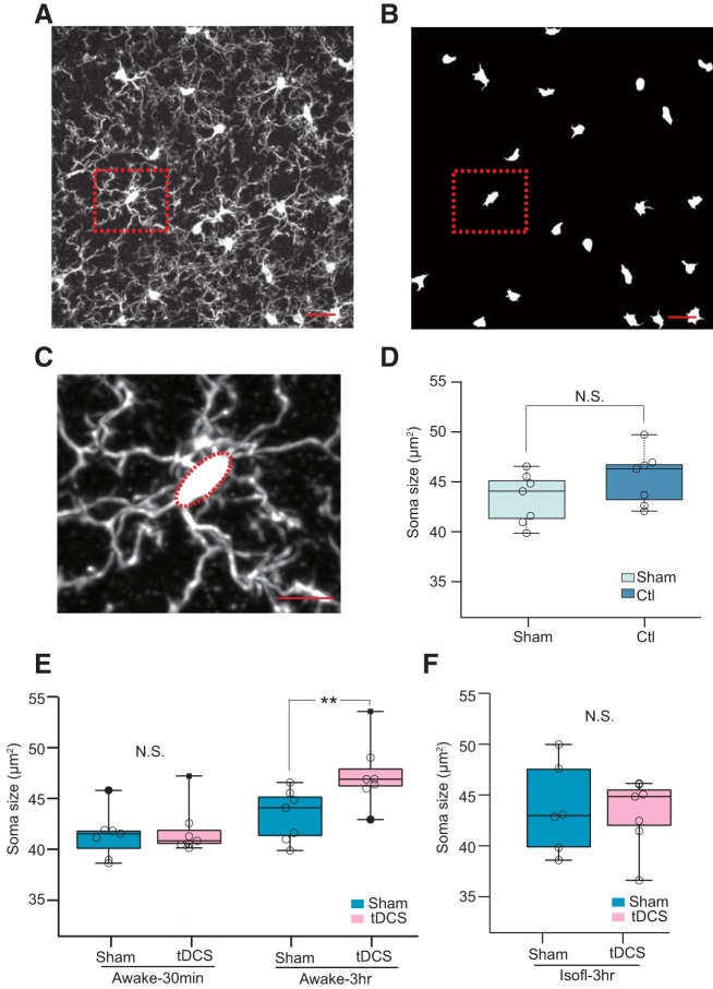 Figure 3.