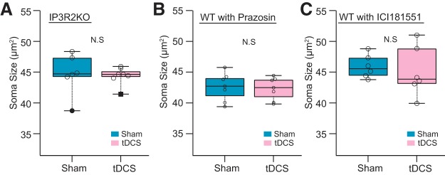 Figure 5.