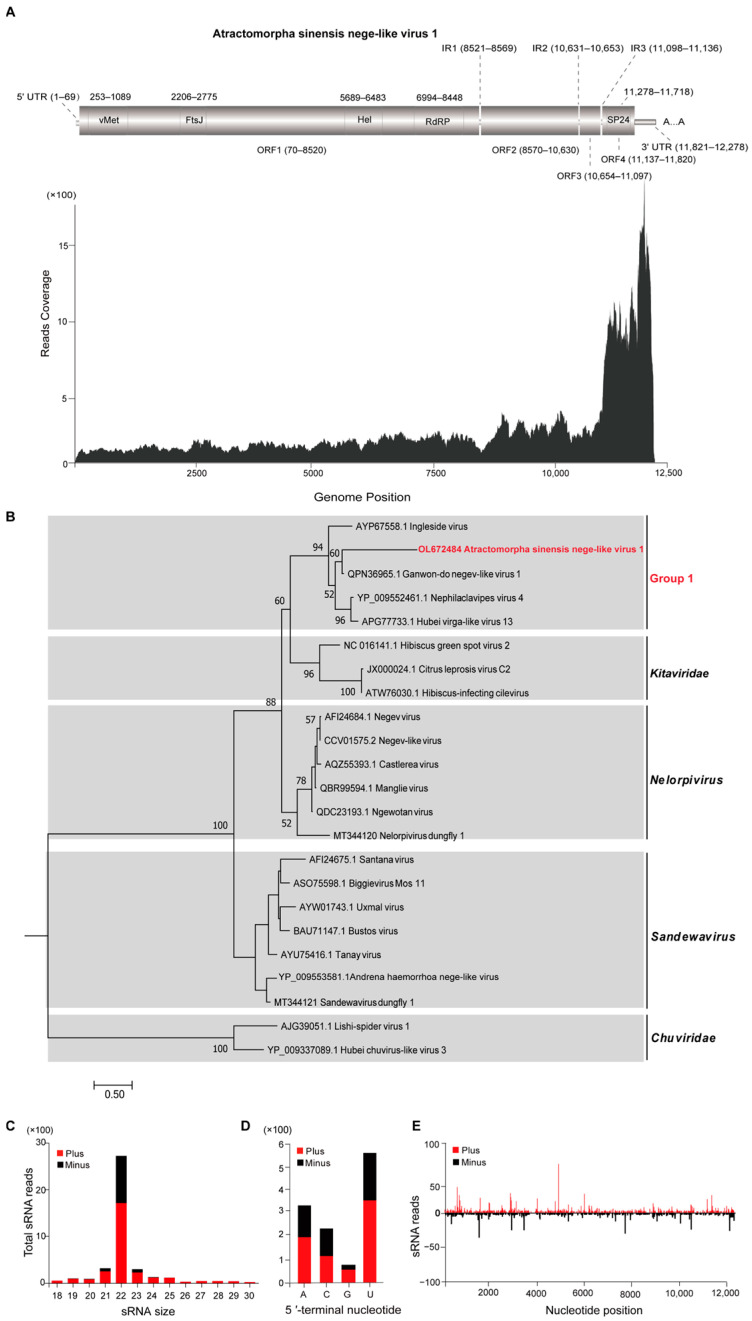 Figure 1