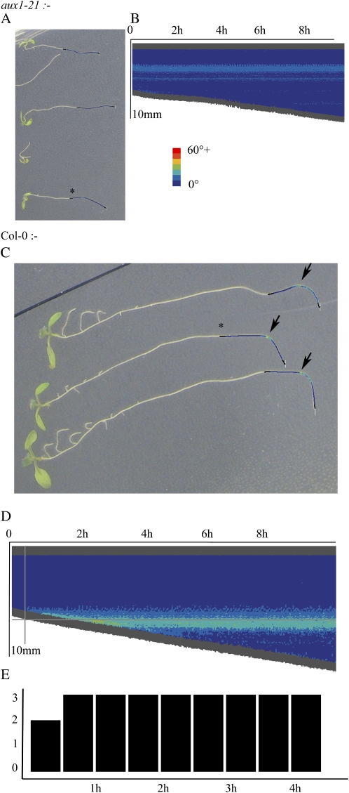 Figure 6.